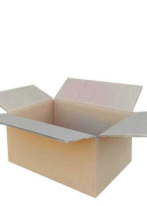 40x30x20cm çift oluklu koli 
